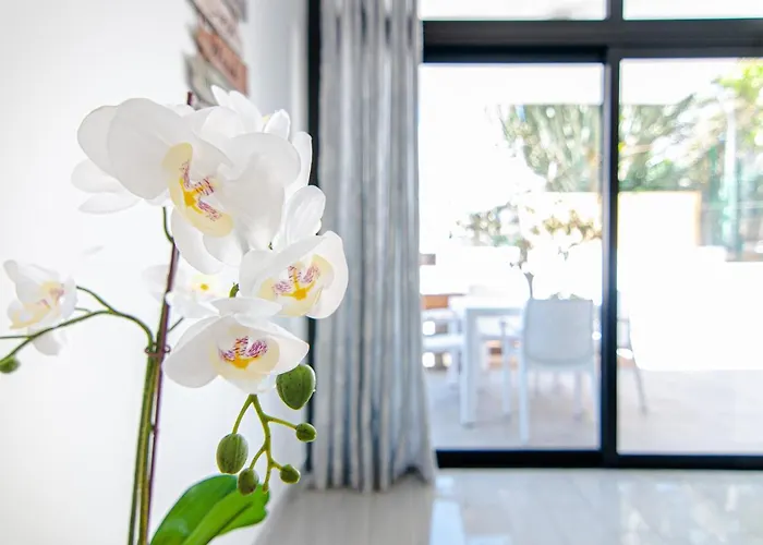 Apartment 2 Bedroom Playa De Americas *